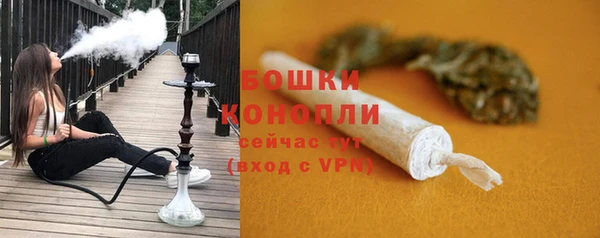 тгк Артём