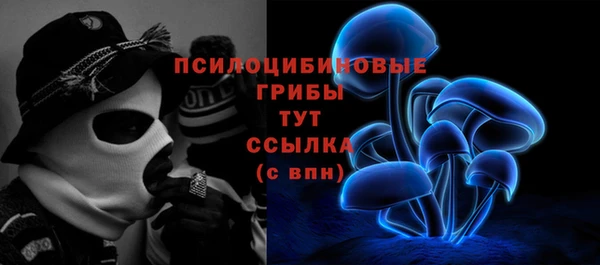 тгк Артём
