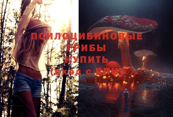 тгк Артём