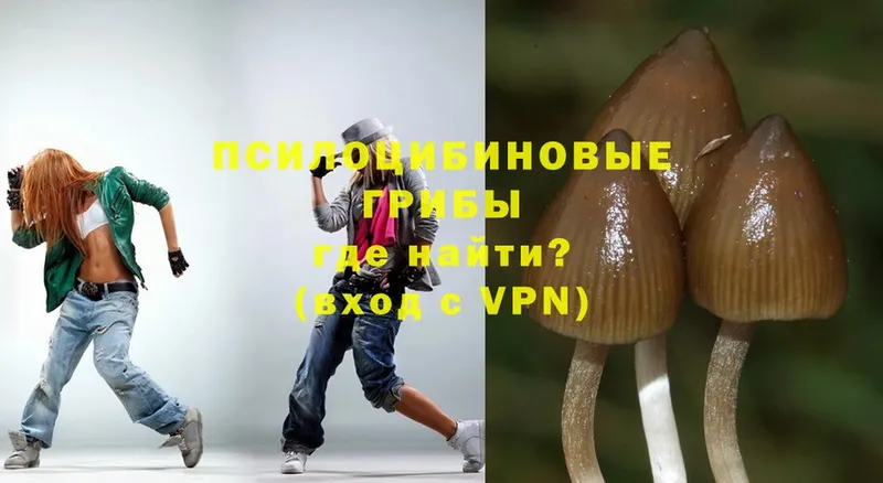 Псилоцибиновые грибы Magic Shrooms  Армянск 